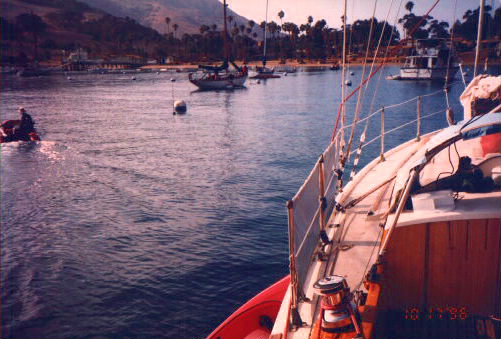 boats, shore w/ palm trees