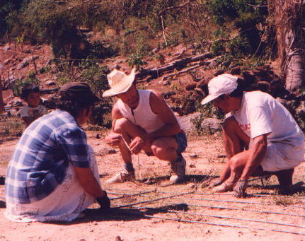 setting up rebar