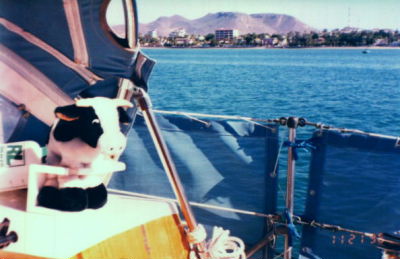 view from cockpit